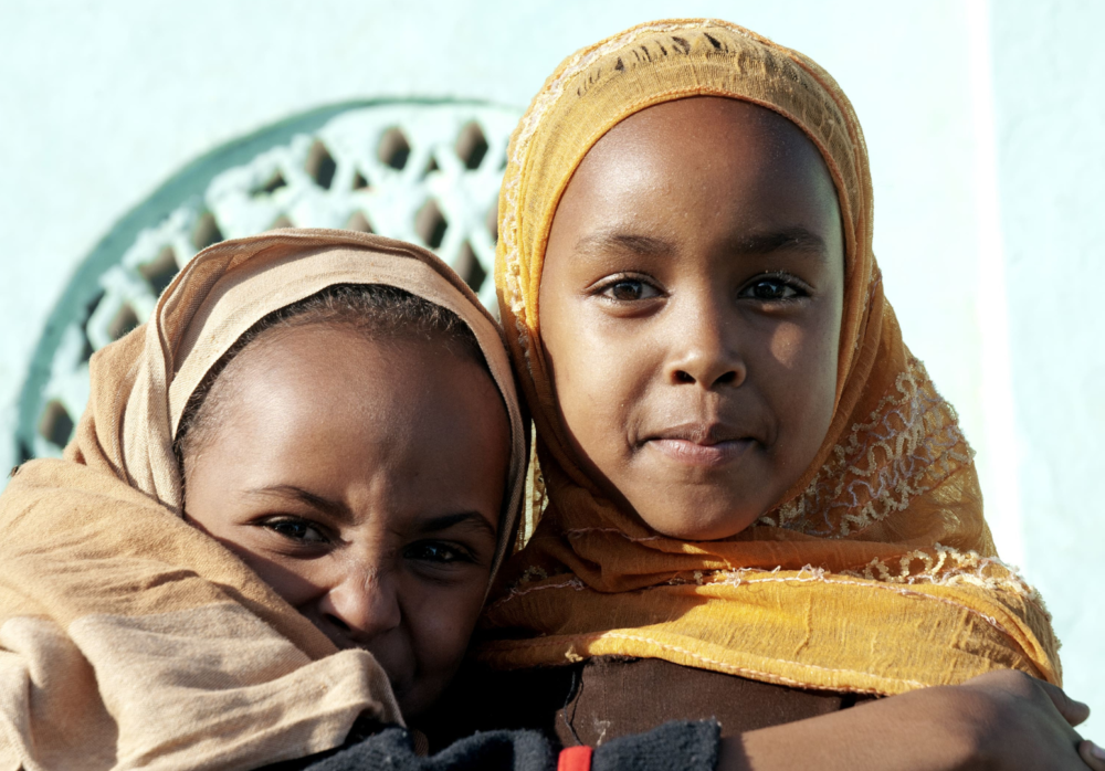 migration pulse hub (1)