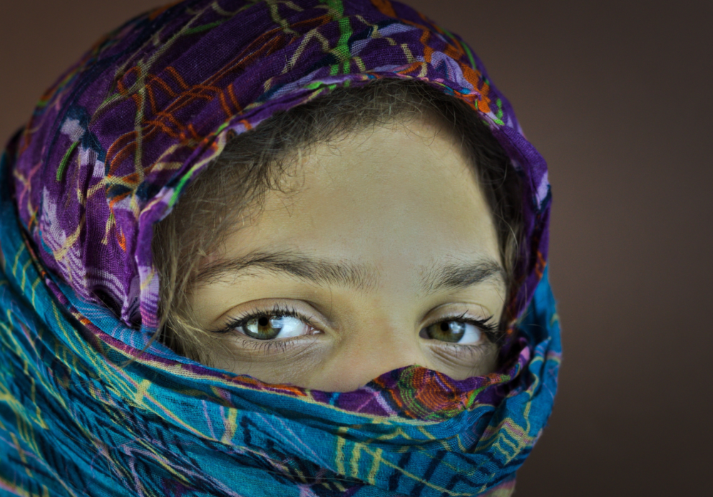 migration pulse hub (5)