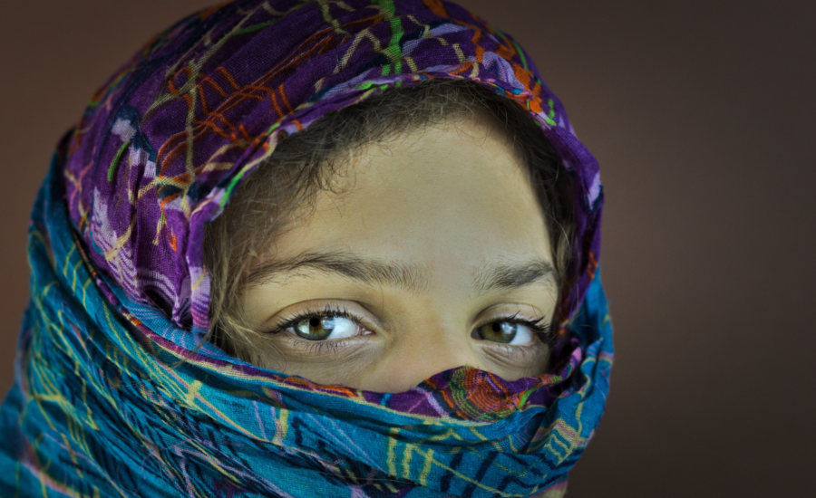 migration pulse hub (5)