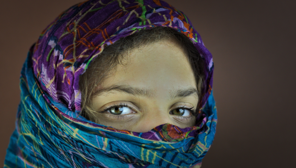 migration pulse hub (5)