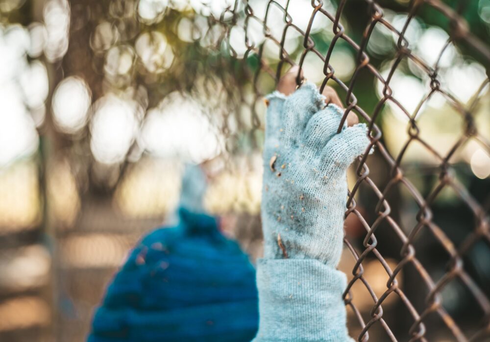 migration pulse hub (5)