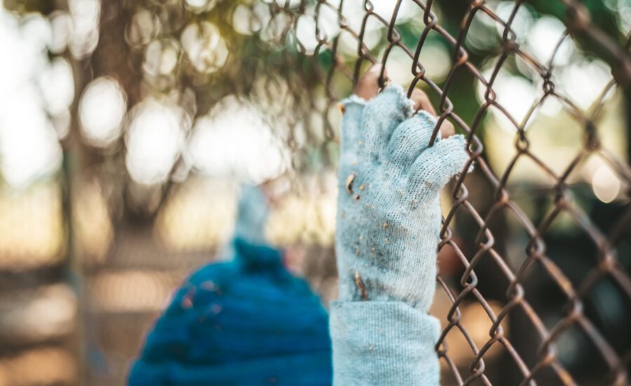 migration pulse hub (5)