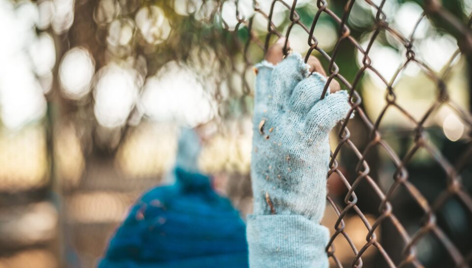 migration pulse hub (5)